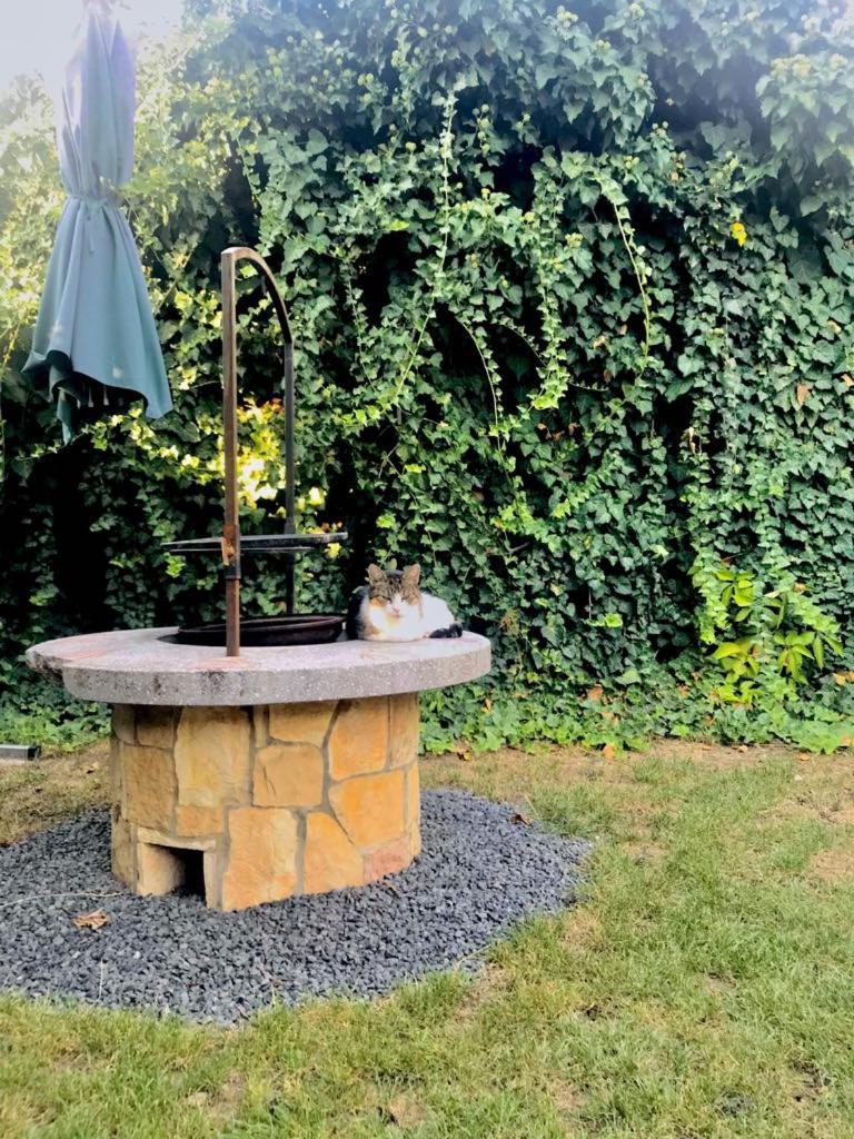 Aranylo Apartmanhaz Hajdúszoboszló Exteriér fotografie